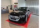 Audi e-tron 50 quattro s Virtuel Kamera ACC Navi