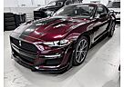 Ford Mustang 2.3 Ecoboost/ Shelby/Virtual