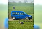 Opel Combo 1.6 CNG - alltagstauglicher Minicamper