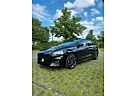 Ford Focus ST-Line 1.5 EcoBoost PANO/ST-Paket/Leder