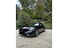 Mercedes-Benz C 250 AMG Line Autom. C43 Optik | All Black