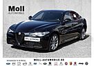 Alfa Romeo Giulia SPRINT Assistenz Paket-SHZ-LHZ