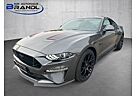 Ford Mustang 5.0 Ti-VCT V8 GT Aut.*55 Years Edition