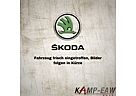 Skoda Fabia Cool Plus 60PS SHZ+BT+KLIMA+DAB+