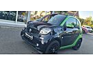 Smart ForTwo coupe electric drive / EQ Panorama