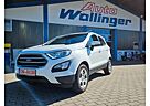 Ford EcoSport Cool & Connect / PDC vo/hi / Winterpake