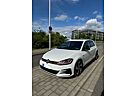 VW Golf Volkswagen GTI Performance Dynamic Light/Keyless/Kam