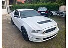 Ford Mustang 3.7 V6 TUNING TOP ZUSTAND