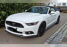 Ford Mustang 5.0 V8 GT Convertible unverbastelt