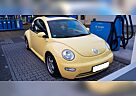 VW Beetle Volkswagen 1.6 SR