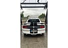 Ford Mustang 3.7 LPG Gas