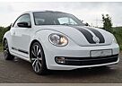 VW Beetle Volkswagen Klima Sport Leder Sound Navi DSG