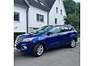 Ford Kuga Business Edition