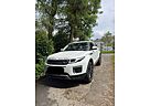 Land Rover Range Rover Evoque SD4 Aut Pure