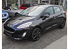 Ford Fiesta Cool/Connect, Allwetter, Winterpaket