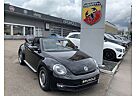 VW Beetle Volkswagen The Cabriolet 1.4 TSI DSG CUP