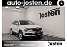 Skoda Karoq Ambition AHK Navi ACC PDC SHZ CarPlay