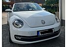 VW Beetle Volkswagen The Cabriolet The Cabriolet 1.4 TSI Design