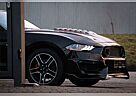 Ford Mustang 2.3 EcoBoost Cabrio Shelby Style/Premium