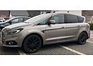 Ford S-Max 2.0 TDCi 179PS 2 Hand