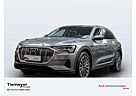 Audi e-tron 50 Q LM21 SPORTSITZE KAMERA ALCANTARA ACC