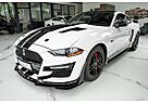 Ford Mustang GT 5.0 PREMIUM GT/SHELBY FC.LIFT