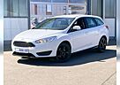 Ford Focus Business Edition Winter-Paket