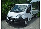 Fiat Ducato 130 L5 Pritsche LANG RS: 4035 mm