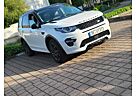 Land Rover Discovery Sport Si4 Black Edition/Standheizung Gepflegt!