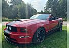 Ford Mustang Cabrio V8 Aut. GT Shelby Cobra Jet 540 PS