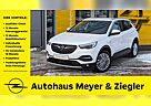 Opel Grandland X Busi. Innov. /SHZ/LHZ/AHVZ/LED/KLIMA/NAVI/Park&Go