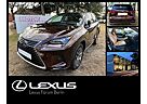 Lexus NX 300 NX 300h NX300h E-FOUR Executive Line