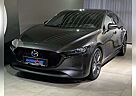 Mazda 3 Selection X-186/AT/Dsign-P./Pemium-P./Leder/Head-U
