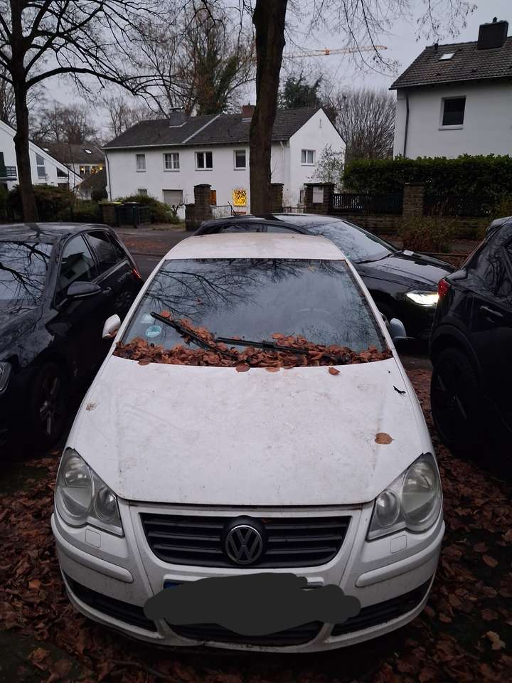 Second hand Volkswagen Polo 