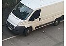 Fiat Ducato 115 (Rs: 3000 mm)