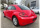 VW Beetle Volkswagen 1.2 TSI*INSP. NEU*GARANTIE*BLUETOOTH*AWR*