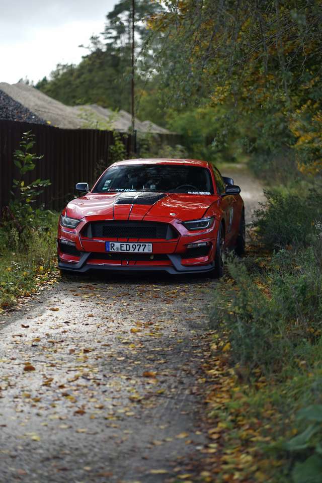 Second hand Ford Mustang 