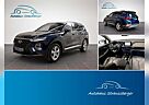 Hyundai Santa Fe Premium 4WD ACC Volleder AHK VOLL