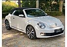 VW Beetle Volkswagen Sport