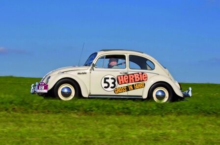 Herbie - Käfer zum Knuddeln