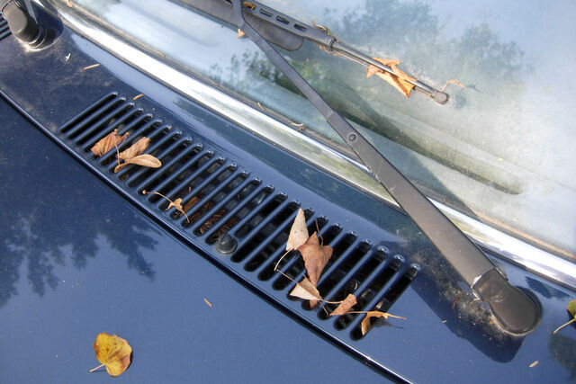 Ratgeber: Autopflege im Herbst - Regelmäßig Laub entfernen