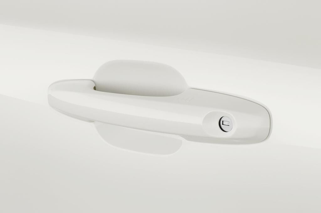 Ford Focus (Baujahr 2019) Active 5 Türen Türgriff