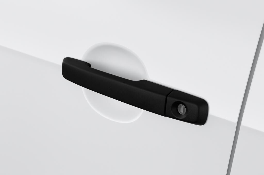 Isuzu D-Max (Baujahr 2019) Basic 2 Türen Türgriff