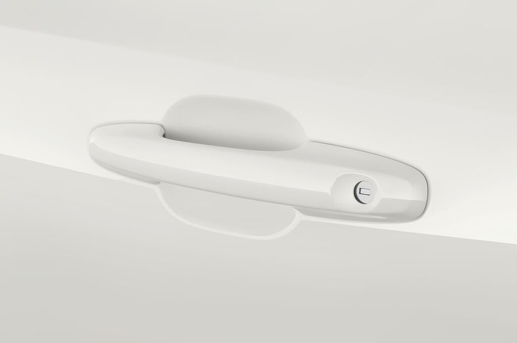 Ford Focus Turnier (Baujahr 2019) Active 5 Türen Türgriff