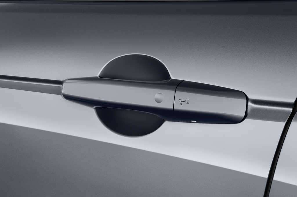 Land Rover Discovery Sport (Baujahr 2020) - 5 Türen Türgriff