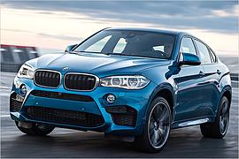 BMW X6 M im Test mit technischen Daten und Preisen