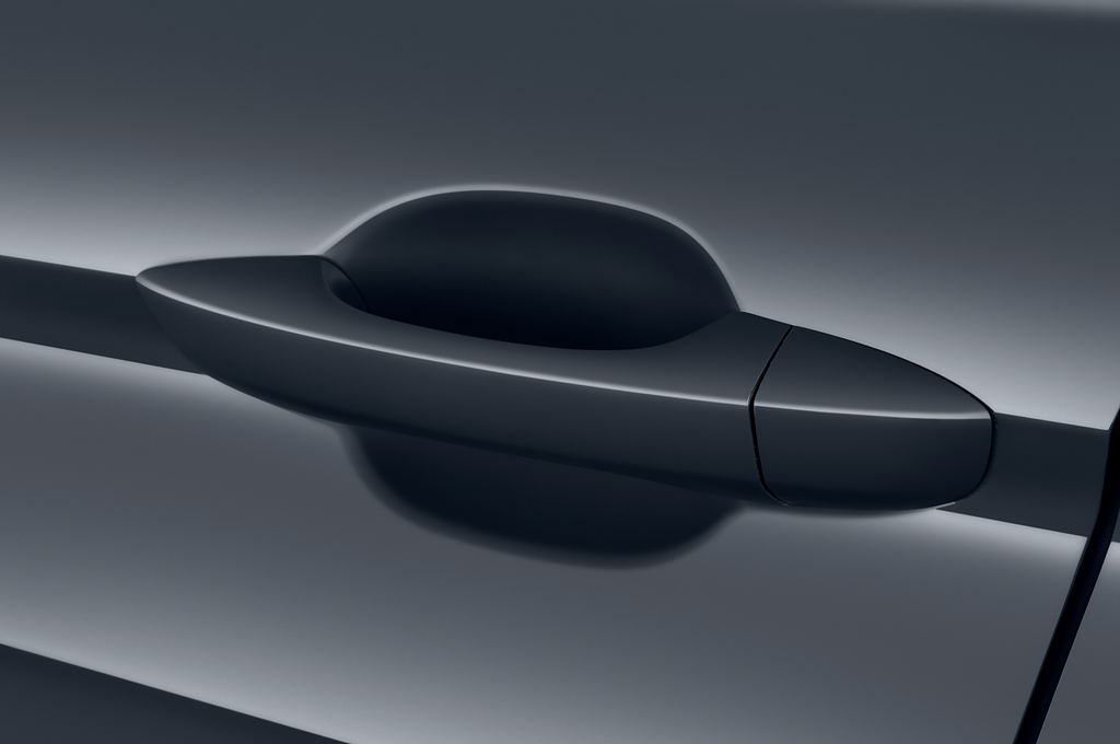 Volkswagen Tiguan (Baujahr 2021) Elegance 5 Türen Türgriff