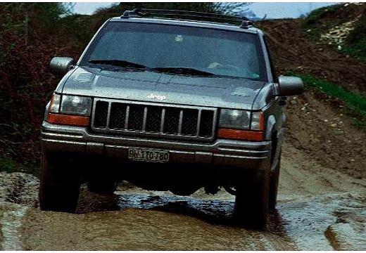 CHRYSLER-Grand-Cherokee-4-0--1995-1996-