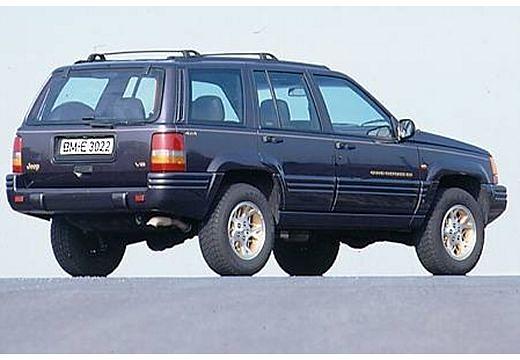 CHRYSLER-Grand-Cherokee-4-0--1995-1996-