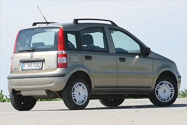 Mit 1,58 Meter ist der Panda Panda Natural Power schon fast so hoch wie viele Minivans